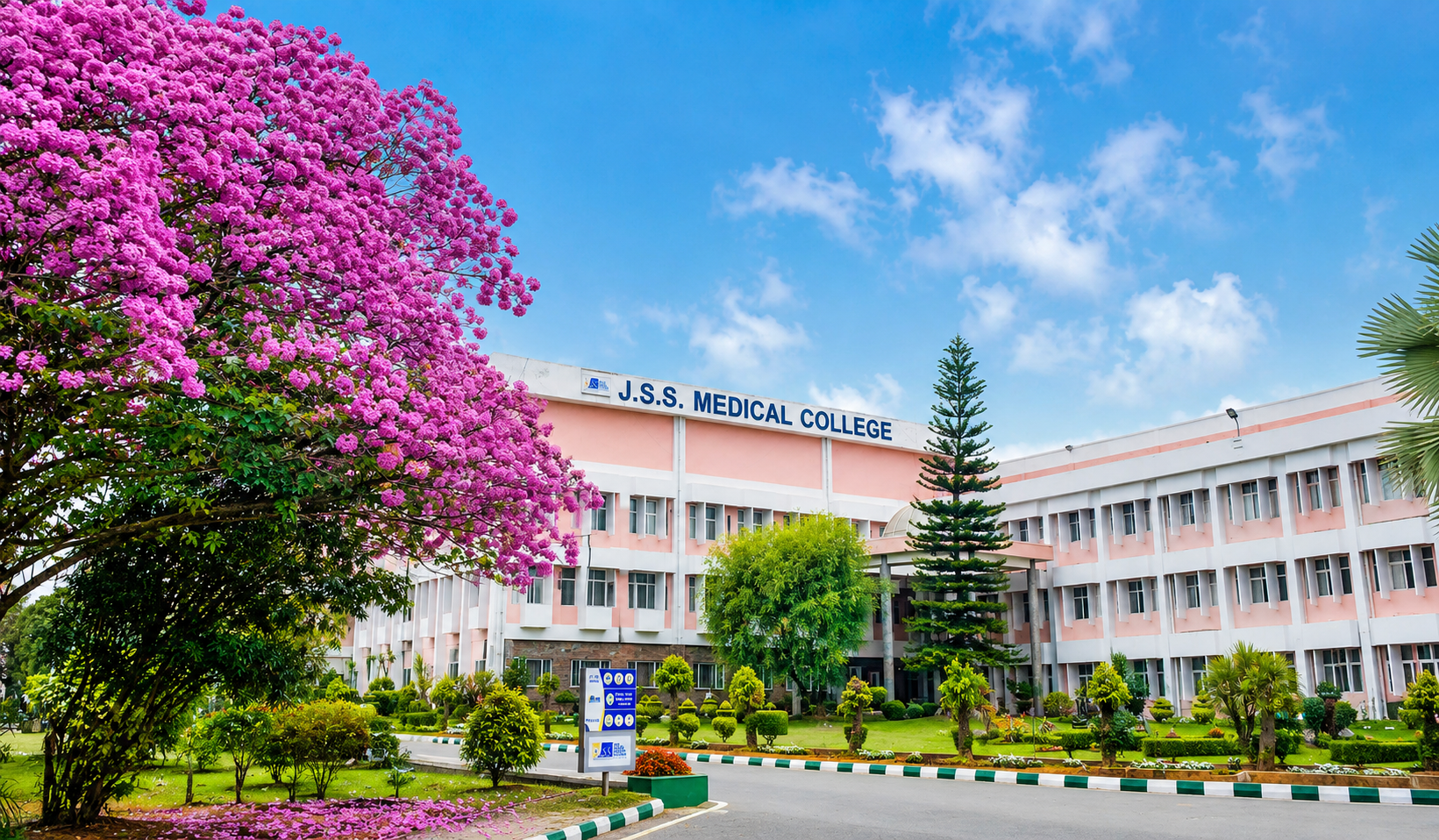 Faculty of Medicine