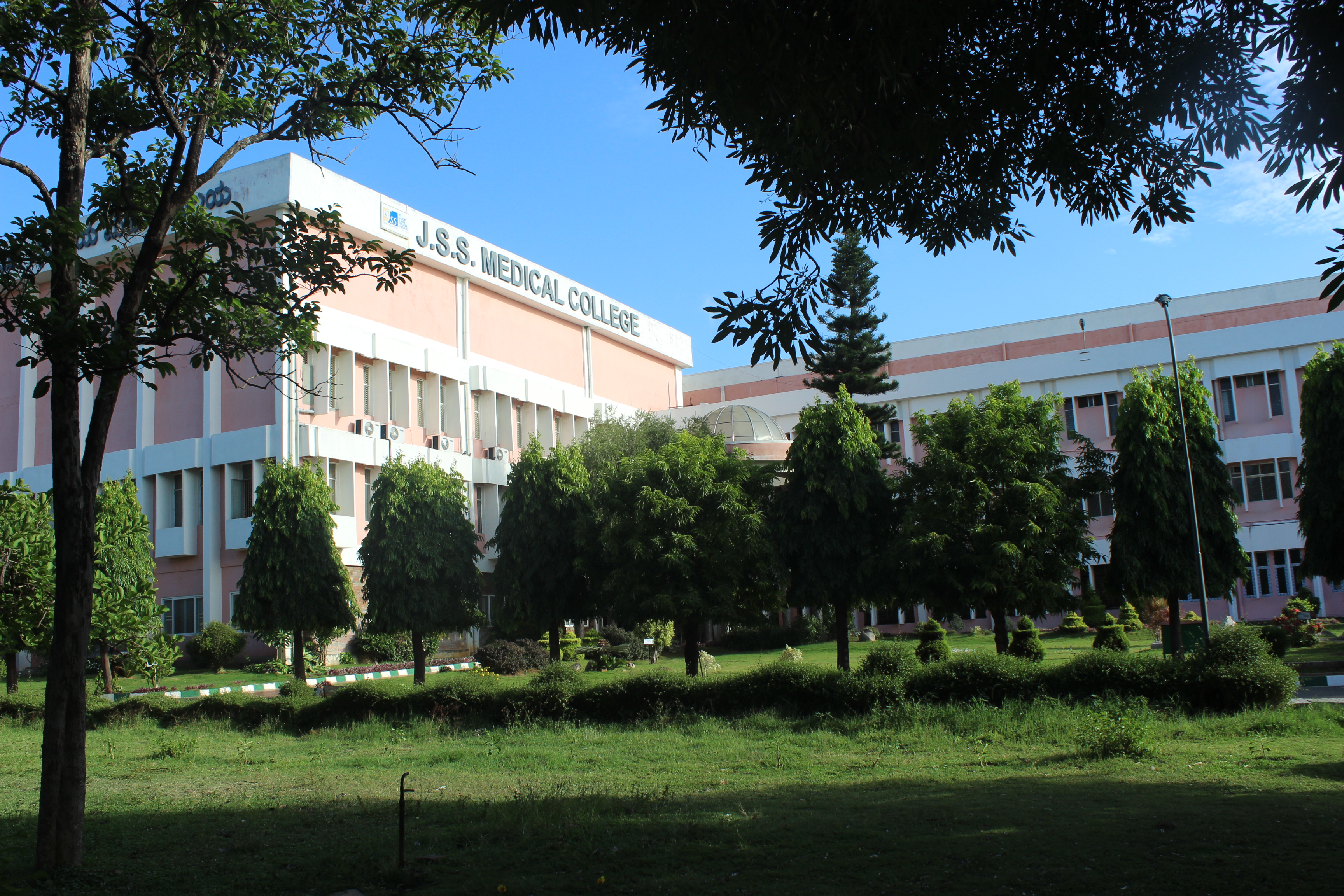 Faculty of Medicine